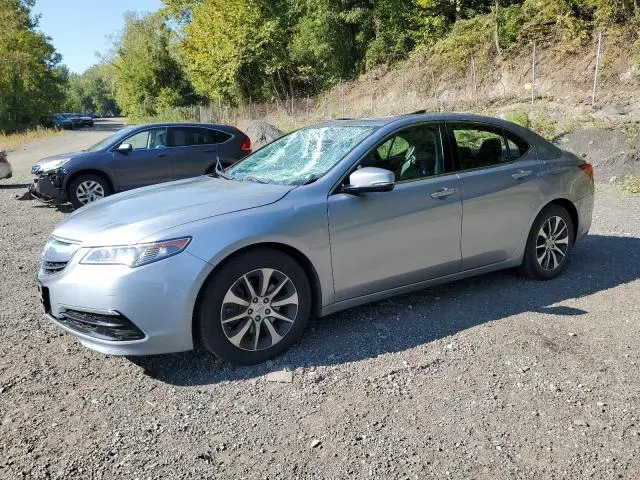 19UUB1F51GA014838