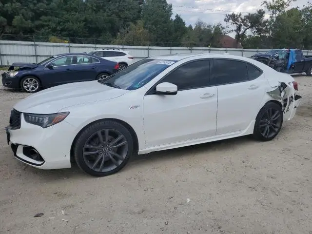 19UUB2F61KA007492