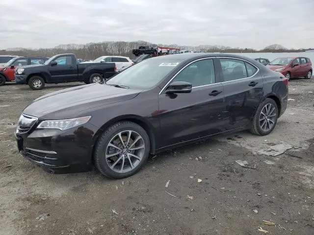 19UUB3F51GA000532