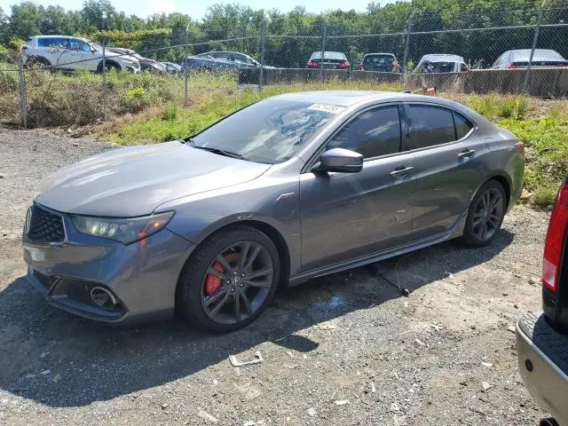 19UUB3F68KA004451
