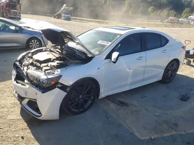 19UUB3F6XLA801236