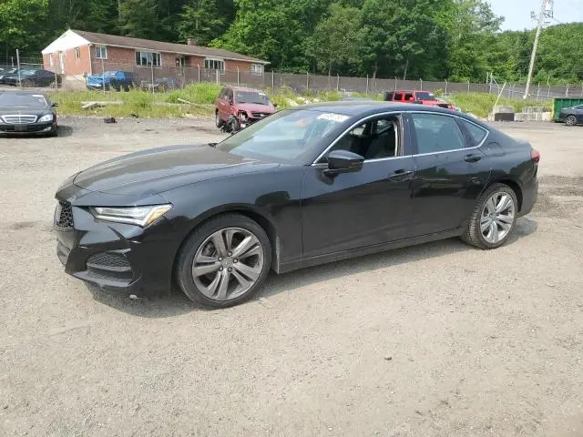 19UUB5F43MA001065