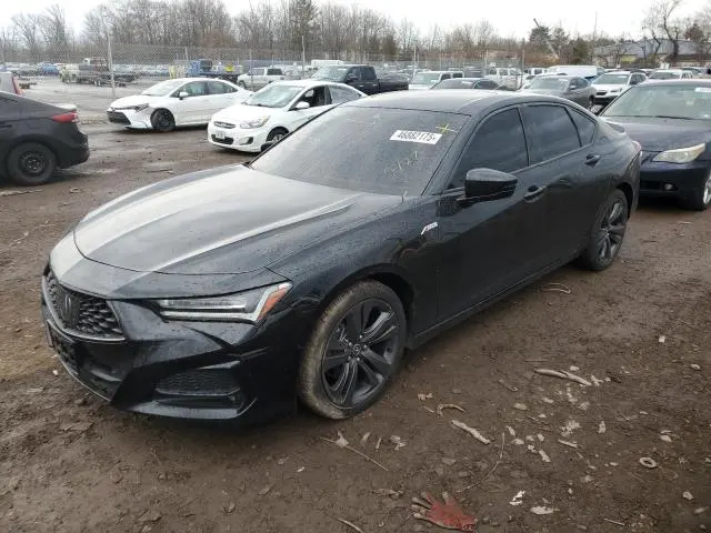 19UUB5F52MA009957