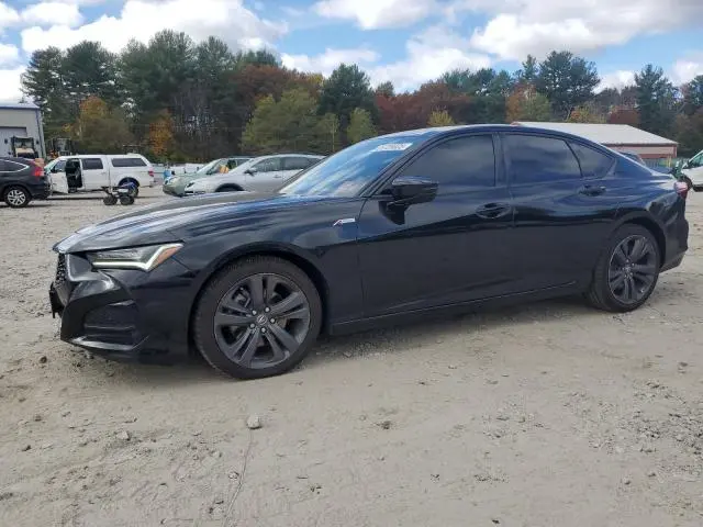19UUB6F52PA006082
