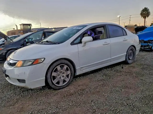 19XFA1F50AE042337