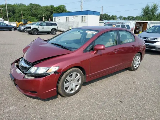 19XFA1F51AE086511