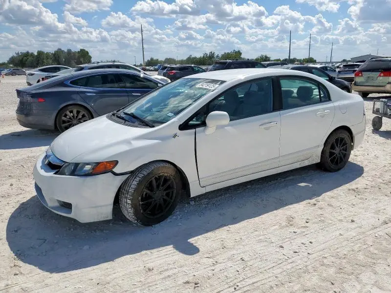 19XFA1F51BE006691