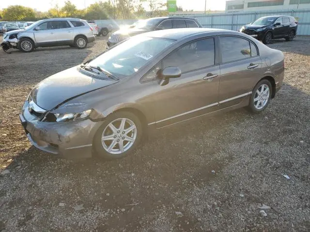 19XFA1F55AE082400