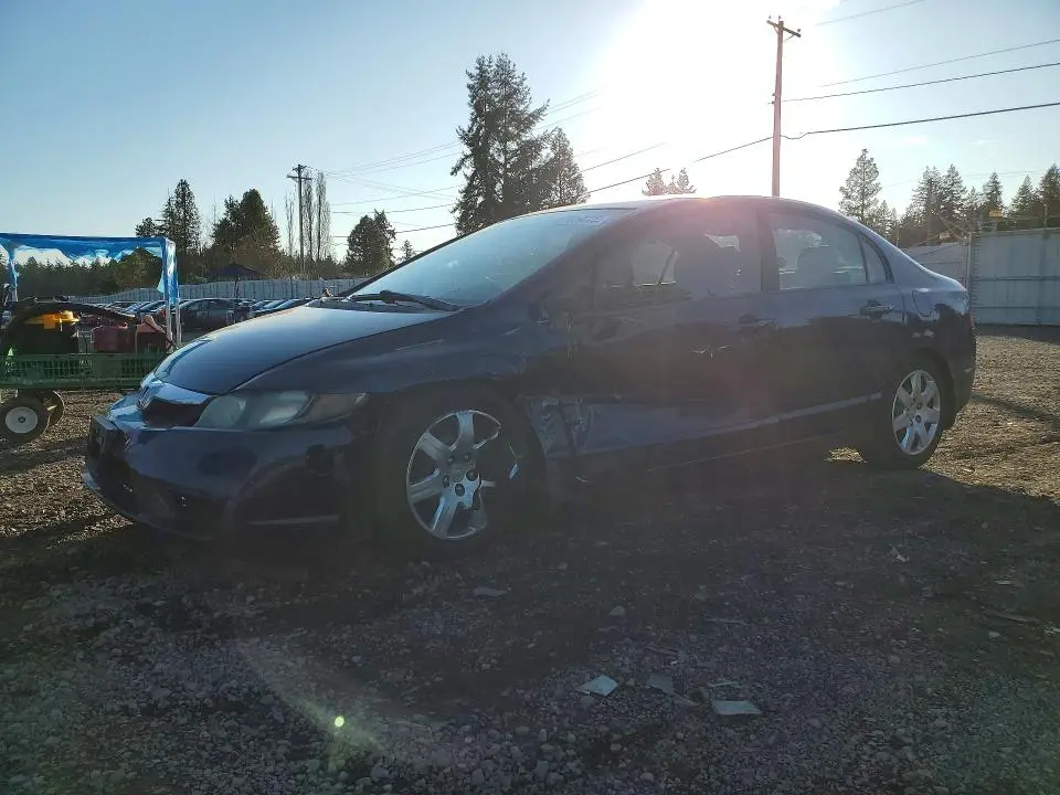 19XFA1F59AE046662