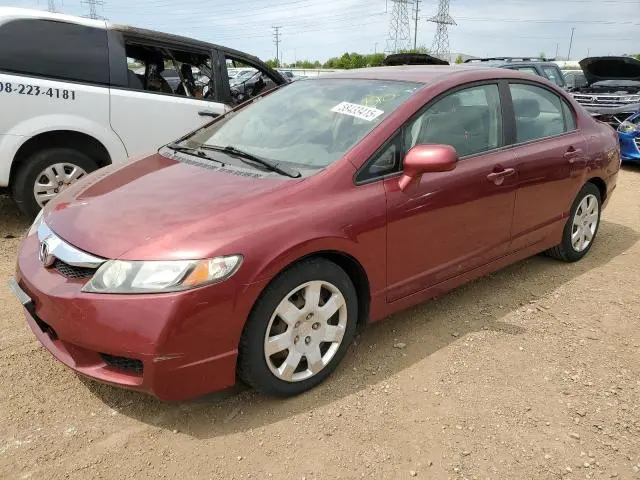 19XFA1F59AE086501