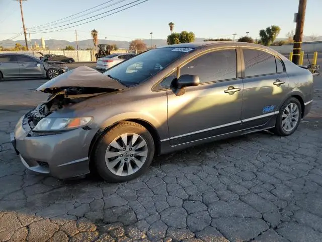 19XFA4F51AE000356