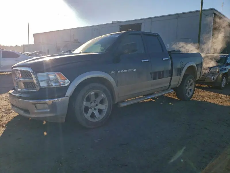 1D7RV1GT8BS605217