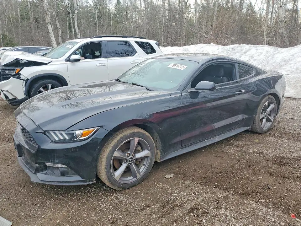 1FA6P8AM0G5209781