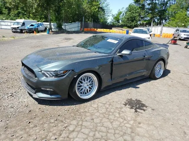 1FA6P8TH1G5206923