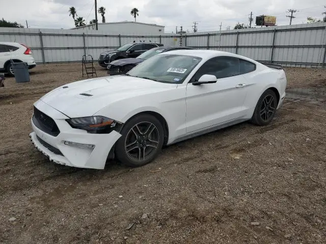 1FA6P8TH1J5165572