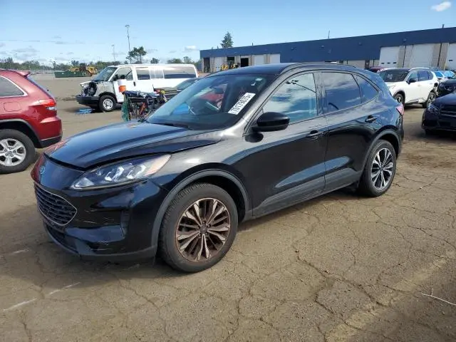 1FMCU9G60MUA04446