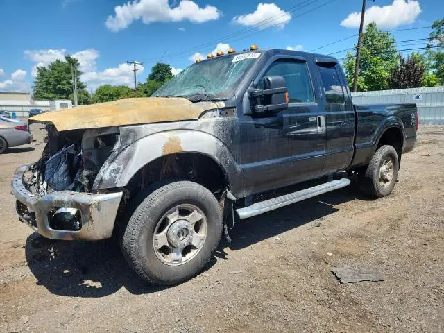 1FT8X3B65FED02283