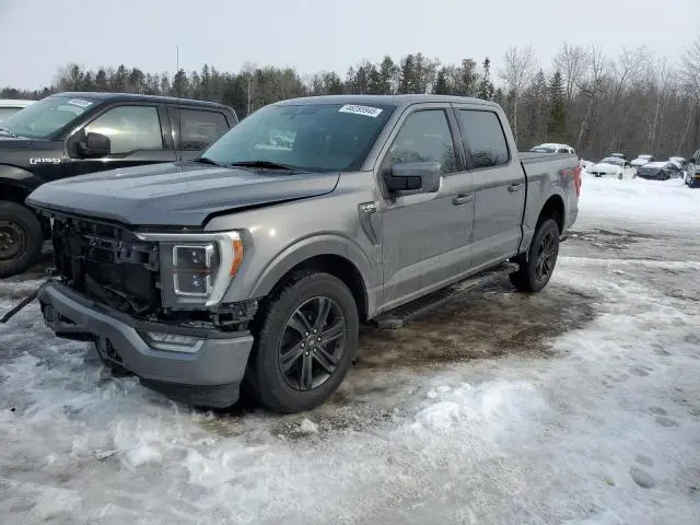 1FTEW1EP2MKD38705