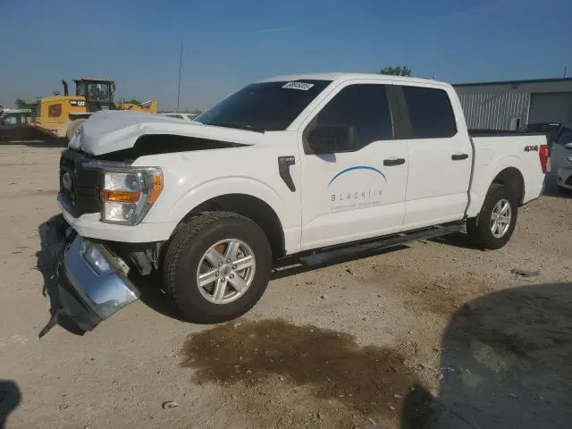 1FTEW1EP2MKD60817