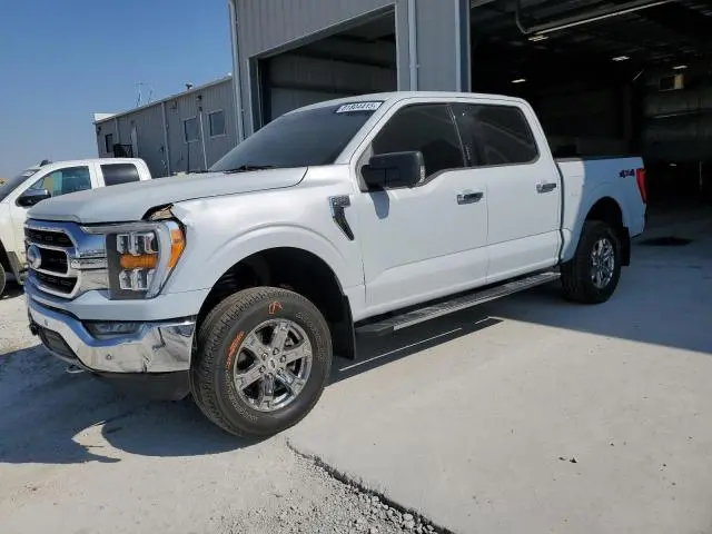 1FTEW1EP9MKD17253