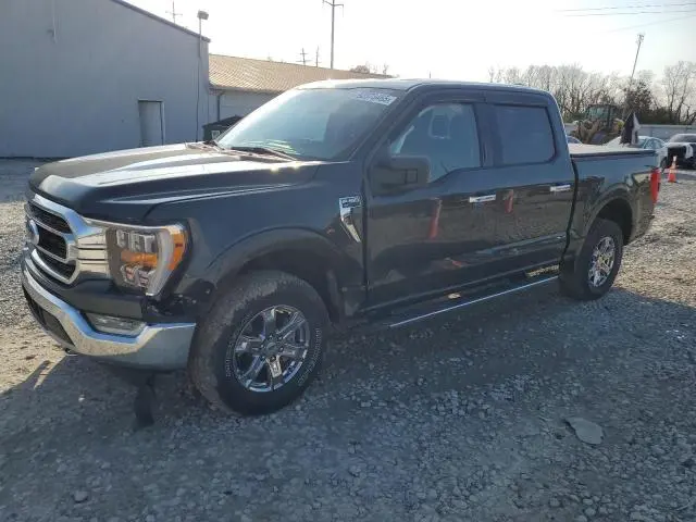 1FTFW1E83MKD31713