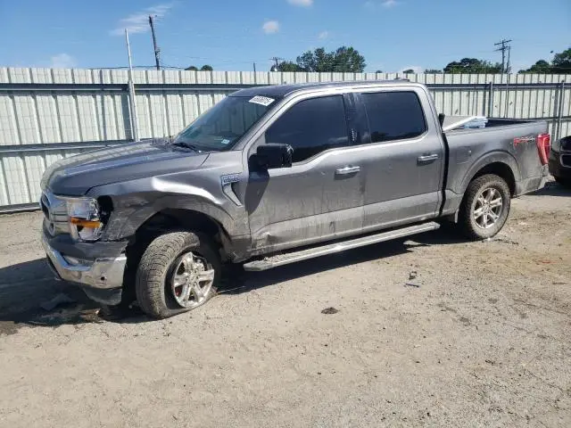 1FTFW1E89MKD69172
