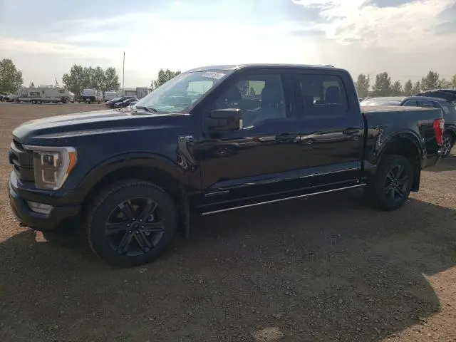 1FTFW1ED5PFB38215