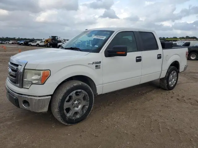 1FTPW12V29FA62800