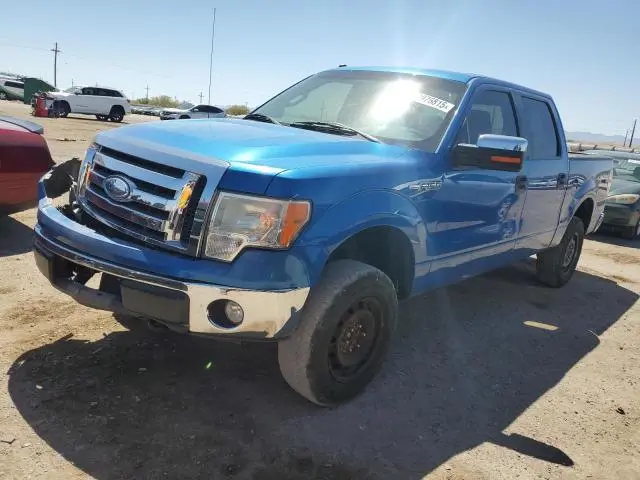 1FTPW14V09FA81391