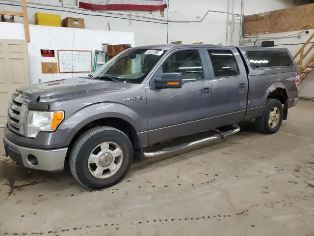 1FTPW14V19FA73431