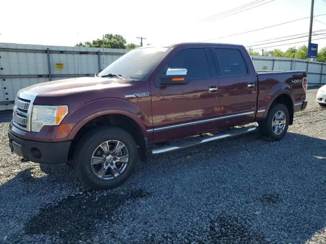 1FTPW14V29FA55164