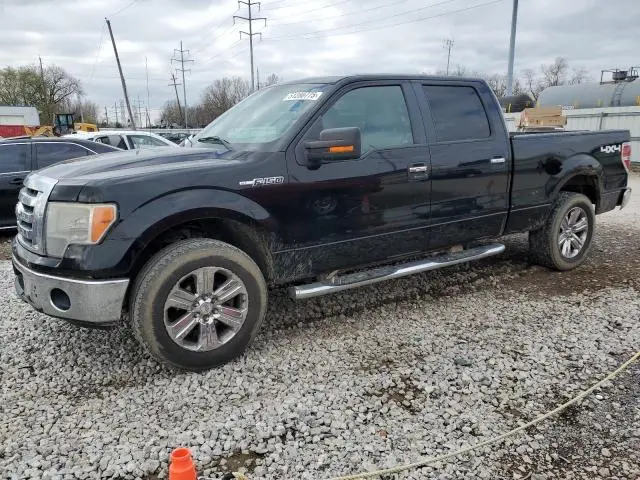 1FTPW14V49FA77232