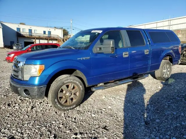 1FTPW14V59FA61458
