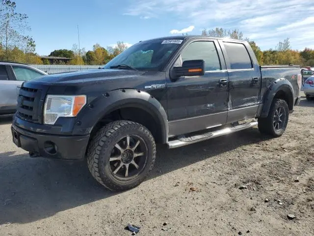 1FTPW14V59FB31461