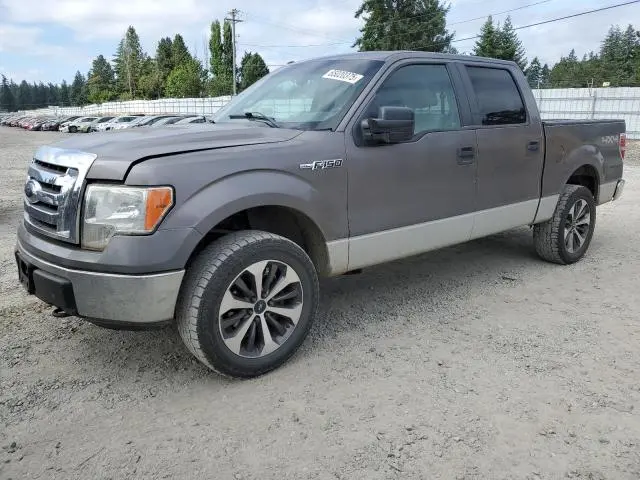 1FTPW14V69FA77815