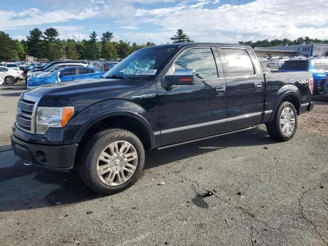 1FTPW14V69FB46180