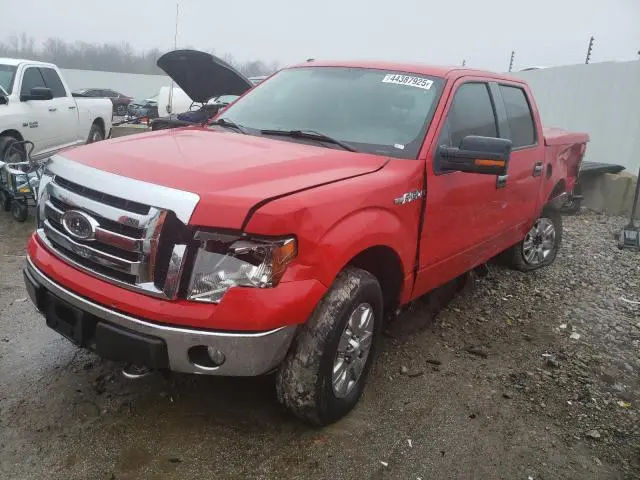 1FTPW14V79FA62790