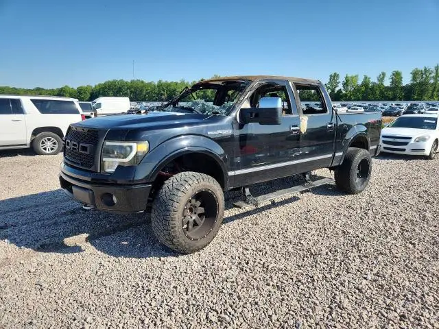 1FTPW14V89FA51460