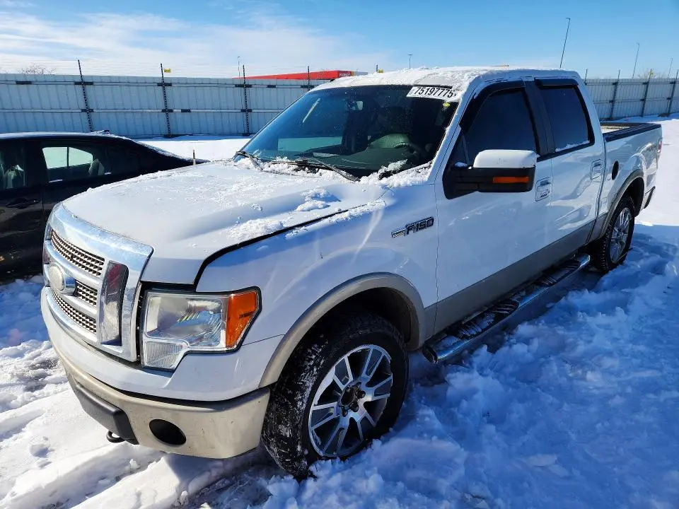 1FTPW14V89FA76584