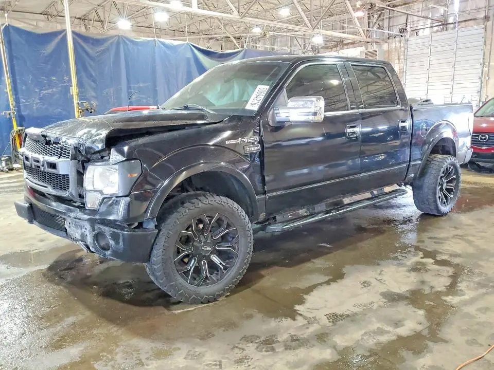 1FTPW14V89FB07316
