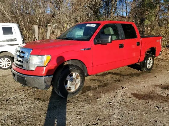 1FTPW14V89KC52184