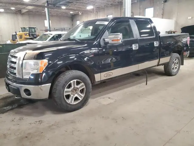 1FTPW14V99FB41782