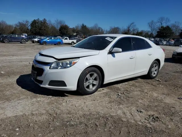 1G11C5SA0GF118175