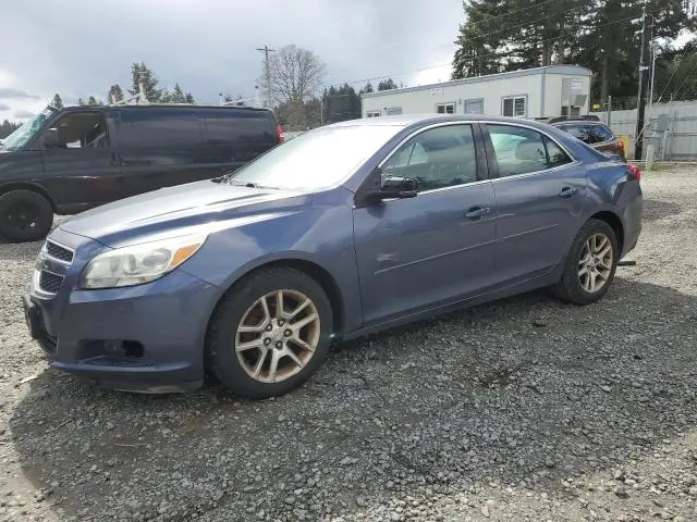 1G11C5SA1DF217602
