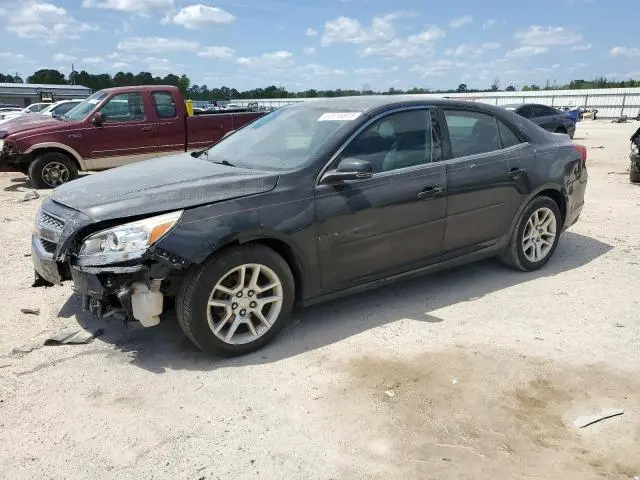 1G11C5SA2DF164456