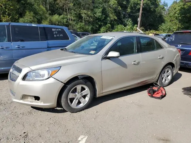 1G11C5SA4DF296411