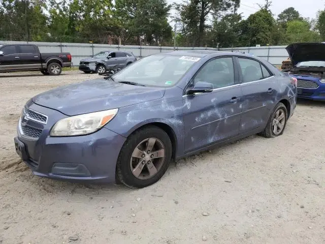 1G11C5SA8DF351703