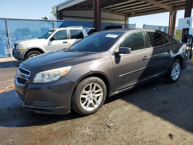 1G11C5SAXDF295053