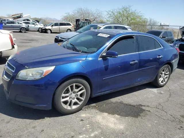 1G11C5SAXDU116005