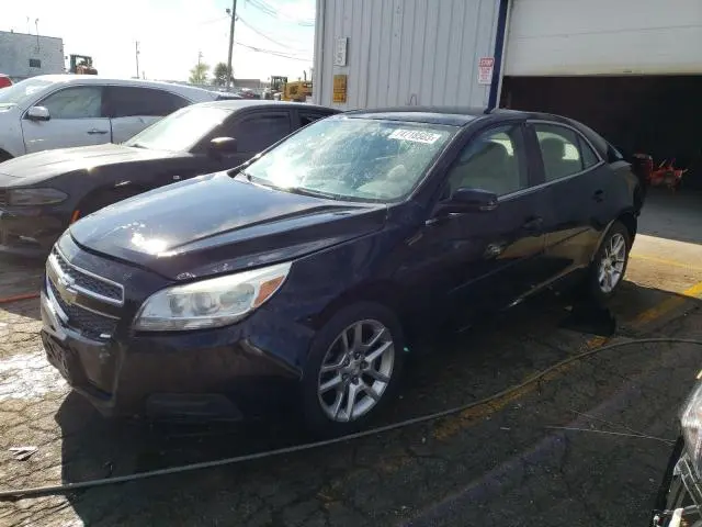 1G11C5SAXDU138294